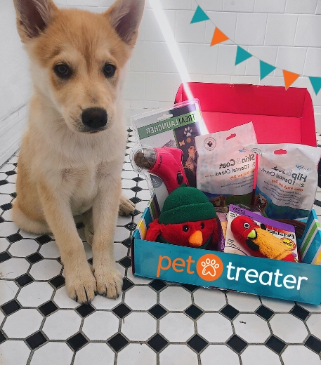 Monthly Dog Box | Monthly Cat Box | Pet Subscription Boxes ...